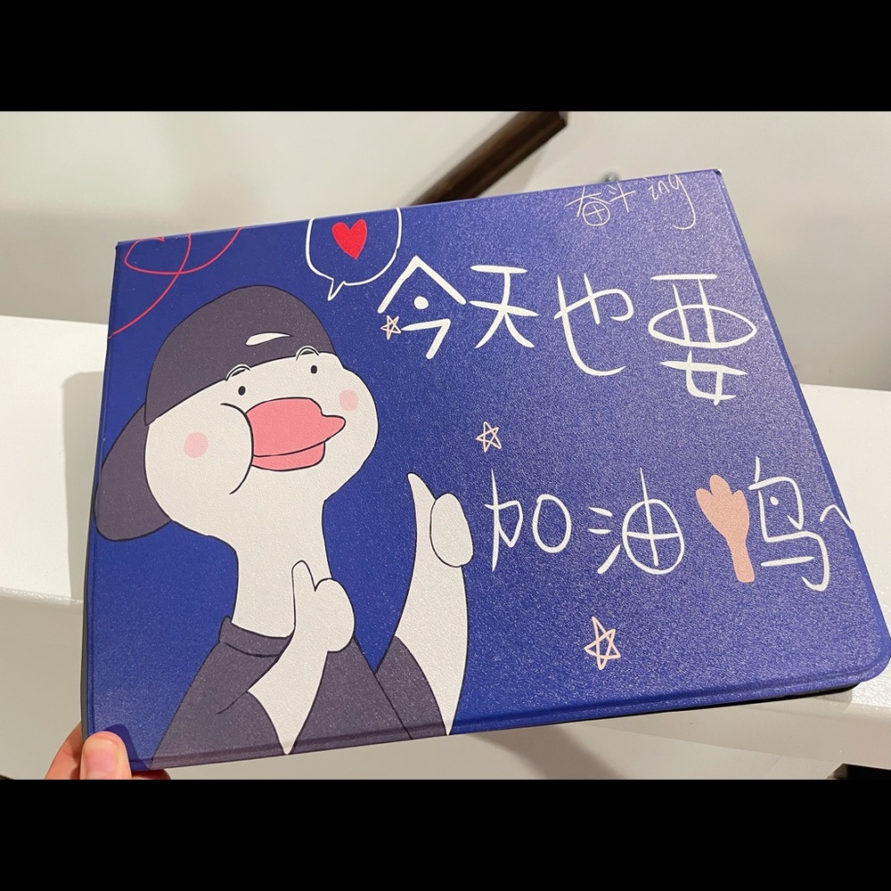 iPad pro case